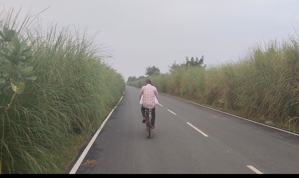 इकौना–रतनी कम्हरिया घाट मार्ग पर झाड़ियों का अंबार, राहगीरों में दहशत सड़क