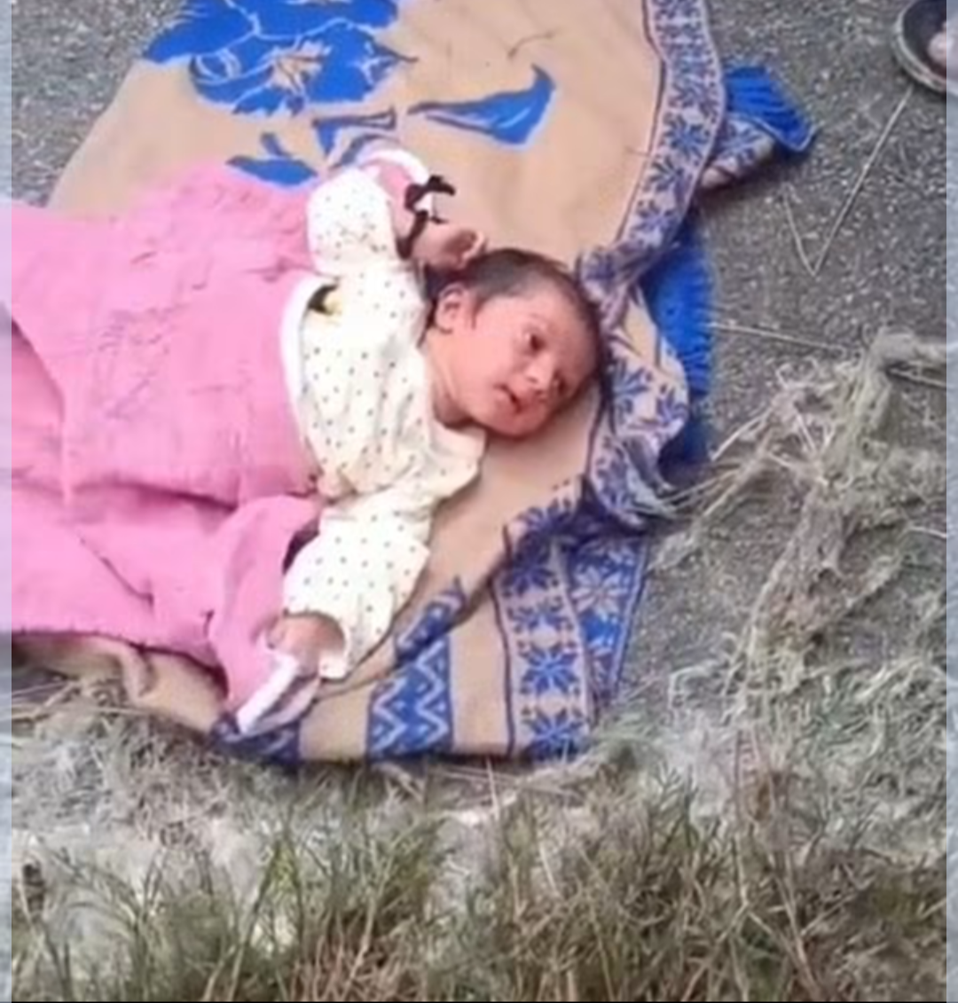 सिकरीगंज में मानवता को झकझोरने वाली घटना: लिंक एक्सप्रेसवे की झाड़ी में कपड़े में लिपटी मिली नवजात